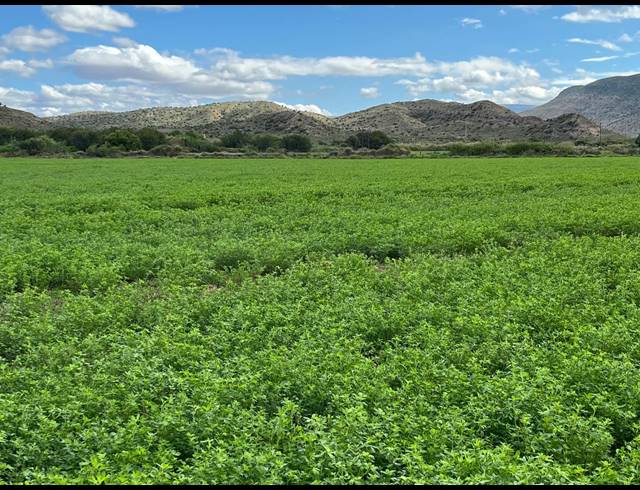 338HA FARM FOR SALE IN LADISMITH RURAL